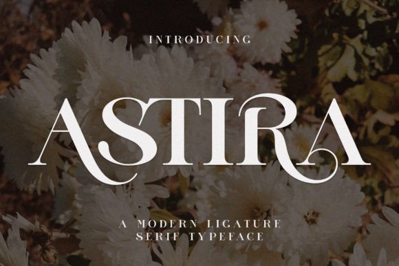 Astira: A Modern Serif Font for Web Design