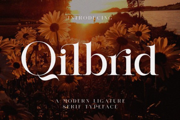 Qilbrid: A Modern Serif Font for Handmade Creations