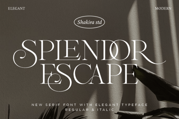 Splendor Escape: A Serif Font for Handmade Elegance