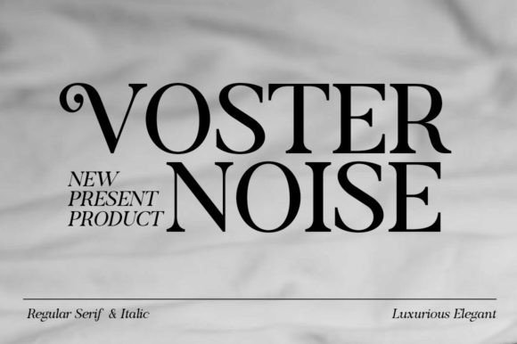 Voster Noise: A Bold Serif Font for Creative Makers